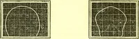 Picture 6 of 18 from Outlines of prenology. (1836), leaf 14