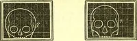 An illustration from Outlines of prenology. (1836)