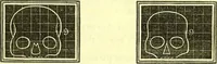 Picture 8 of 18 from Outlines of prenology. (1836), leaf 15