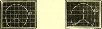 Picture 9 of 18 from Outlines of prenology. (1836), leaf 17