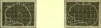 Picture 10 of 18 from Outlines of prenology. (1836), leaf 18