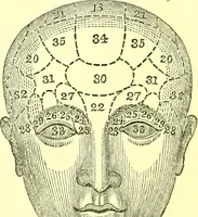 An illustration from Outlines of prenology. (1836)