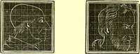 An illustration from Outlines of prenology. (1836)
