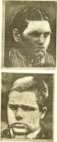An illustration from Nouvelles recherches de psychiatrie et d'anthropologie criminelle / par Cesare Lombroso. (1892)