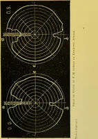 An illustration from The female offender / by Cæsar Lombroso and William Ferrero ; with an introduction by W. Douglas Morrison. (1895)
