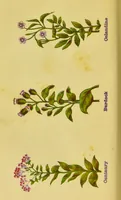 Picture 8 of 15 from The complete herbalist, or, the people their own physicians by the use of nature's remedies showing the great curative properties of all herbs, gums, balsams, barks, flowers and roots ; how they should be prepared, when and under what influences selected, at what times gathered, and for what diseases administered. Also, separate treatises on fod and drinks ; clothing ; exercise ; the regulation of the passions, life, health, and disease; longevity; medication; air and sunshine ; bathing ; sleep, etc. Also, symptoms of prevalent diseases ; special treatment in special cases; and a new and plain system of hygienic principles / by O. Phelps Brown. (1871), leaf 132