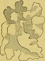An illustration from The complete herbalist, or, the people their own physicians by the use of nature's remedies showing the great curative properties of all herbs, gums, balsams, barks, flowers and roots ; how they should be prepared, when and under what influences selected, at what times gathered, and for what diseases administered. Also, separate treatises on fod and drinks ; clothing ; exercise ; the regulation of the passions, life, health, and disease; longevity; medication; air and sunshine ; bathing ; sleep, etc. Also, symptoms of prevalent diseases ; special treatment in special cases; and a new and plain system of hygienic principles / by O. Phelps Brown. (1871)
