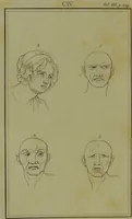 An illustration from Essays on physiognomy : for the promotion of the knowledge and the love of mankind / written in the German language by John Caspar Lavater ; and translated into English by Thomas Holcroft. (1804)