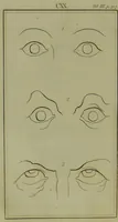 An illustration from Essays on physiognomy : for the promotion of the knowledge and the love of mankind / written in the German language by John Caspar Lavater ; and translated into English by Thomas Holcroft. (1804)
