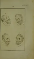An illustration from Essays on physiognomy : for the promotion of the knowledge and the love of mankind / written in the German language by John Caspar Lavater ; and translated into English by Thomas Holcroft. (1804)