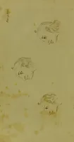 An illustration from Essays on physiognomy : for the promotion of the knowledge and the love of mankind / written in the German language by John Caspar Lavater ; and translated into English by Thomas Holcroft. (1804)