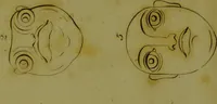An illustration from Essays on physiognomy : for the promotion of the knowledge and the love of mankind / written in the German language by John Caspar Lavater ; and translated into English by Thomas Holcroft. (1804)