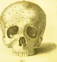 An illustration from Illustrations of phrenology / by Sir G. S. Mackenzie. (1820)