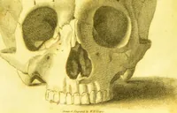 An illustration from Illustrations of phrenology / by Sir G. S. Mackenzie. (1820)