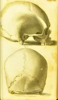 Picture 8 of 14 from Illustrations of phrenology / by Sir G. S. Mackenzie. (1820), leaf 303