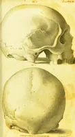 An illustration from Illustrations of phrenology / by Sir G. S. Mackenzie. (1820)