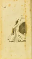 An illustration from Lectures on physiology, zoology, and the natural history of man : delivered at the Royal college of surgeons / by W. Lawrence. (1822)