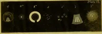 An illustration from Original microscopic drawings made between the years 1824 and 1840 mostly published in works by Dr. Goring & A. Pritchard [graphic]. (1824)