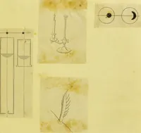 An illustration from Original microscopic drawings made between the years 1824 and 1840 mostly published in works by Dr. Goring & A. Pritchard [graphic]. (1824)