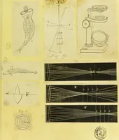 An illustration from Original microscopic drawings made between the years 1824 and 1840 mostly published in works by Dr. Goring & A. Pritchard [graphic]. (1824)
