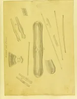 An illustration from Original microscopic drawings made between the years 1824 and 1840 mostly published in works by Dr. Goring & A. Pritchard [graphic]. (1824)