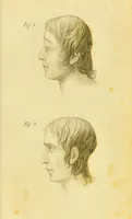 An illustration from Phrenology, or, The doctrine of the mind : and of the relations between its manifestations and the body / by J. Spurzheim. (1825)