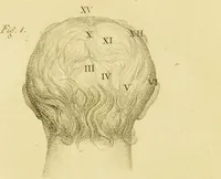An illustration from Phrenology, or, The doctrine of the mind : and of the relations between its manifestations and the body / by J. Spurzheim. (1825)