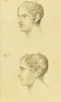 An illustration from Phrenology, or, The doctrine of the mind : and of the relations between its manifestations and the body / by J. Spurzheim. (1825)