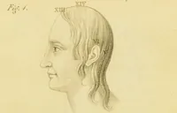 An illustration from Phrenology, or, The doctrine of the mind : and of the relations between its manifestations and the body / by J. Spurzheim. (1825)