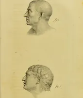 An illustration from Phrenology, in connexion with the study of physiognomy / by J. G. Spurzheim. (1826)