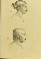 An illustration from Phrenology, in connexion with the study of physiognomy / by J. G. Spurzheim. (1826)