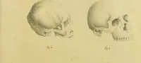 An illustration from Phrenology, in connexion with the study of physiognomy / by J. G. Spurzheim. (1826)