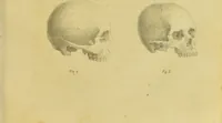 Picture 16 of 42 from Phrenology, in connexion with the study of physiognomy / by J. G. Spurzheim. (1826), leaf 83