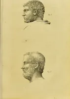 An illustration from Phrenology, in connexion with the study of physiognomy / by J. G. Spurzheim. (1826)