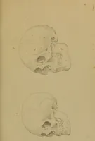 An illustration from Principes et résumé de physiognomie / par le docteur B*** D***. (1859)