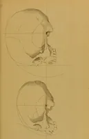 An illustration from Principes et résumé de physiognomie / par le docteur B*** D***. (1859)