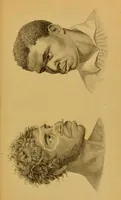Picture 7 of 17 from Principes et résumé de physiognomie / par le docteur B*** D***. (1859), leaf 127