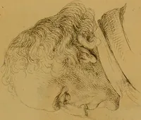 An illustration from Principes et résumé de physiognomie / par le docteur B*** D***. (1859)