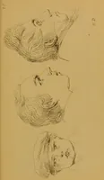 An illustration from Principes et résumé de physiognomie / par le docteur B*** D***. (1859)