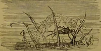 An illustration from A natural history of the animal kingdom : being a systematic and popular description of the habits, structure, and classification of animals, from the lowest to the highest forms. Arranged according to their organisation / by W. S. Dallas. (1860)