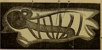 An illustration from A natural history of the animal kingdom : being a systematic and popular description of the habits, structure, and classification of animals, from the lowest to the highest forms. Arranged according to their organisation / by W. S. Dallas. (1860)