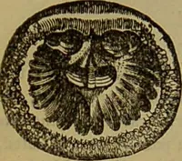An illustration from A natural history of the animal kingdom : being a systematic and popular description of the habits, structure, and classification of animals, from the lowest to the highest forms. Arranged according to their organisation / by W. S. Dallas. (1860)