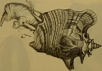 An illustration from A natural history of the animal kingdom : being a systematic and popular description of the habits, structure, and classification of animals, from the lowest to the highest forms. Arranged according to their organisation / by W. S. Dallas. (1860)