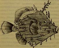 An illustration from A natural history of the animal kingdom : being a systematic and popular description of the habits, structure, and classification of animals, from the lowest to the highest forms. Arranged according to their organisation / by W. S. Dallas. (1860)