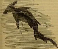 An illustration from A natural history of the animal kingdom : being a systematic and popular description of the habits, structure, and classification of animals, from the lowest to the highest forms. Arranged according to their organisation / by W. S. Dallas. (1860)