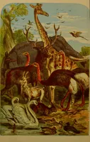 An illustration from A natural history of the animal kingdom : being a systematic and popular description of the habits, structure, and classification of animals, from the lowest to the highest forms. Arranged according to their organisation / by W. S. Dallas. (1860)