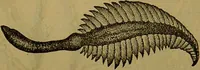 An illustration from A natural history of the animal kingdom : being a systematic and popular description of the habits, structure, and classification of animals, from the lowest to the highest forms. Arranged according to their organisation / by W. S. Dallas. (1860)