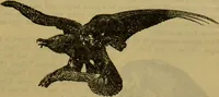 An illustration from A natural history of the animal kingdom : being a systematic and popular description of the habits, structure, and classification of animals, from the lowest to the highest forms. Arranged according to their organisation / by W. S. Dallas. (1860)