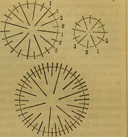 An illustration from A natural history of the animal kingdom : being a systematic and popular description of the habits, structure, and classification of animals, from the lowest to the highest forms. Arranged according to their organisation / by W. S. Dallas. (1860)