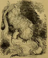 An illustration from A natural history of the animal kingdom : being a systematic and popular description of the habits, structure, and classification of animals, from the lowest to the highest forms. Arranged according to their organisation / by W. S. Dallas. (1860)